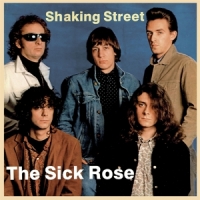 Sick Rose, The Shaking Street