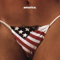 Black Crowes, The Amorica.