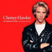 Hawkes, Chesney Complete Picture - The Albums 1991-2012 (cd+dvd)