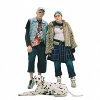 Socks;sportssocks Ironic Songs For A Sincere Generation