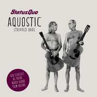 Status Quo Aquostic -2lp+download-