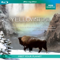 Documentary Yellowstone