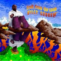 Cobham, Billy Fruit From The Loom