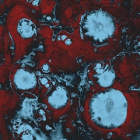 Black Queen Infinite Games