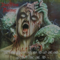 Disastrous Murmur Rhapsodies In Red (reissue)