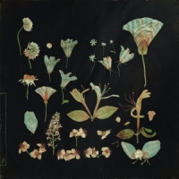 Leaving Laurel When The Quiet Comes