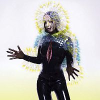 Bjork Vulnicura
