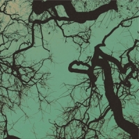 Follakzoid Follakzoid (galaxy Green)