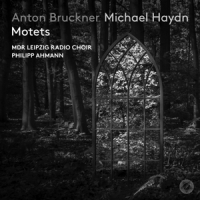 Mdr Leipzig Radio Choir / Philipp Ahmann Anton Bruckner & Michael Haydn Motets