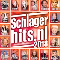 Various Schlagerhits.nl 2018