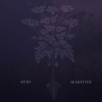 Spurv Skarntyde