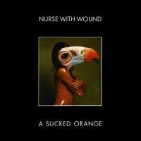Nurse With Wound A Sucked Orange