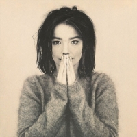 Bjork Debut