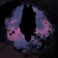 Slow Crush Aurora -coloured-