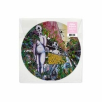 Indigo De Souza Any Shape You Take -picture Disc-