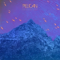 Pelican Flickering Resonance (neon Purple)