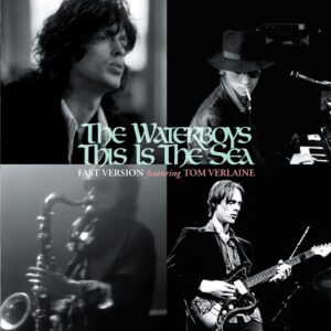 Waterboys This Is The Sea (10")