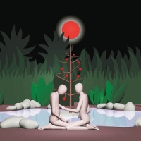 Pateras, Anthony Reise Der Schatten