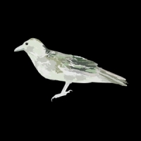 Green Crow Collective Hard Drive Error