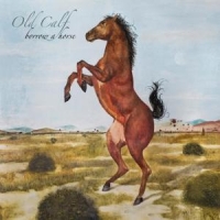 Old Calf Borrow A Horse