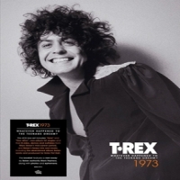 T. Rex 1973: Whatever Happened To The Teenage Dream?