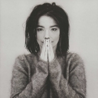 Bjork Debut