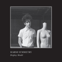 Harsh Symmetry Display Model -coloured-