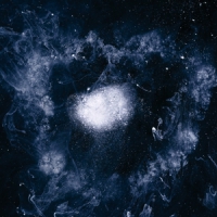 Swans My Father Will Guide Me Up A Rope T