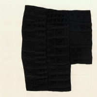 Johnson, Whitney & Lia Kohl & Macie Stewart Body Sound