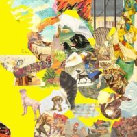 Homesick, The The Big Exercise (yellow / Loser Ed
