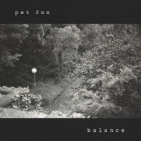 Pet Fox Balance -coloured-