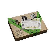 V / Bts V - Layover  1