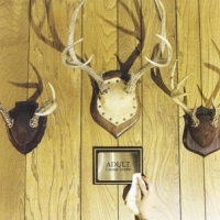 Adult. Gimmie Trouble