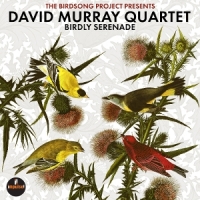 Murray, David Birdly Serenade