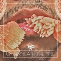 Toro Y Moi Underneath The Pine