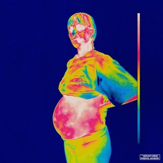 Brockhampton Iridescence -coloured-