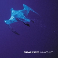 Shearwater Winged Life