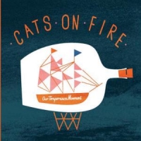 Cats On Fire Our Temperance Movement