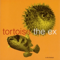 Tortoise & Ex In The Fishtank 5