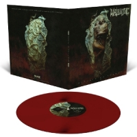 Warning Rituals Of Shame -coloured-