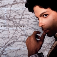 Prince Musicology