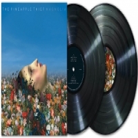 Pineapple Thief Magnolia