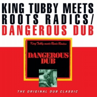 King Tubby Meets The Roots Radics Dangerous Dub