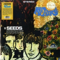 Seeds Future