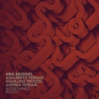 Nrg Bridges Interwined Roots