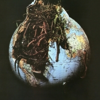 Drosselbart Drosselbart -coloured-