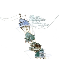 New Pornographers Continue As A Guest