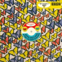 King Gizzard & The Lizard Wizard Butterfly 3001