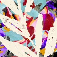 Album Leaf Past And Future Tense -coloured-