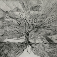 Myrddin Monstruos Y Duendes Vol. 1  Myfyrio